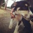 Avatar de Thiago Eidi