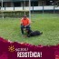 Foto do perfil de Valdir