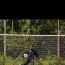 Foto do perfil de Gustavo