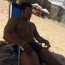 Avatar de Fellipe Maia