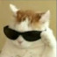 Avatar de GatoDoCorinthians