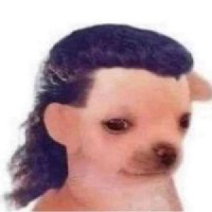Dhennis