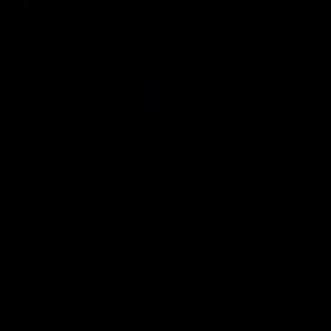 Ale S