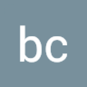 bc gamer