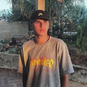 Silvin nogari