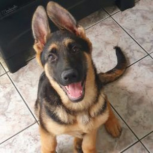 Matheus Gabriel