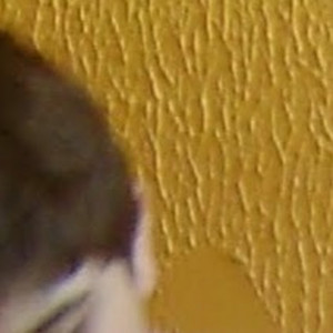 Luiz Felipe Sabbagh