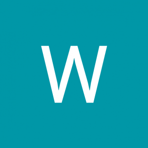 Wellington Araujo