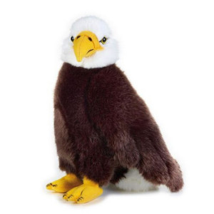 Eagleplays