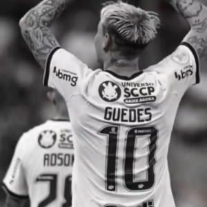 Riquelme Ribeiro