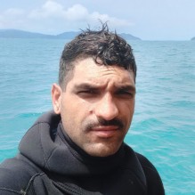 Paulo J. Alves
