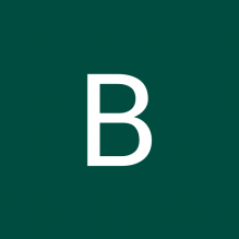 Bruno Pelison