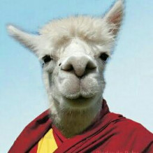 Dalai Lhama