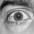 Foto do perfil de Thom�s Torres