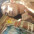 Foto do perfil de Thiago Press�o