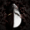 Marcos Ant�nio