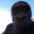 Andr�