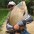 Anderson Torres