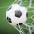 futebol ao vivo
