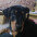 marcelo machado