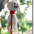 Foto do perfil de Teru Teru Bozu
