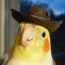 Foto do perfil de Victor
