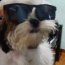 Foto do perfil de Rodrigo