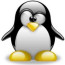 Foto do perfil de Madson