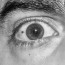 Foto do perfil de Thom�s
