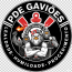Avatar de pdegavioes