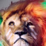 Foto do perfil de Herbert