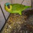 Foto do perfil de Matheus Efraim