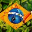 Foto do perfil de Flavio Canassa