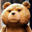Foto do perfil de urso universal