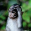 Foto do perfil de pega pegadinha pegada