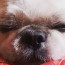 Foto do perfil de Guilherme
